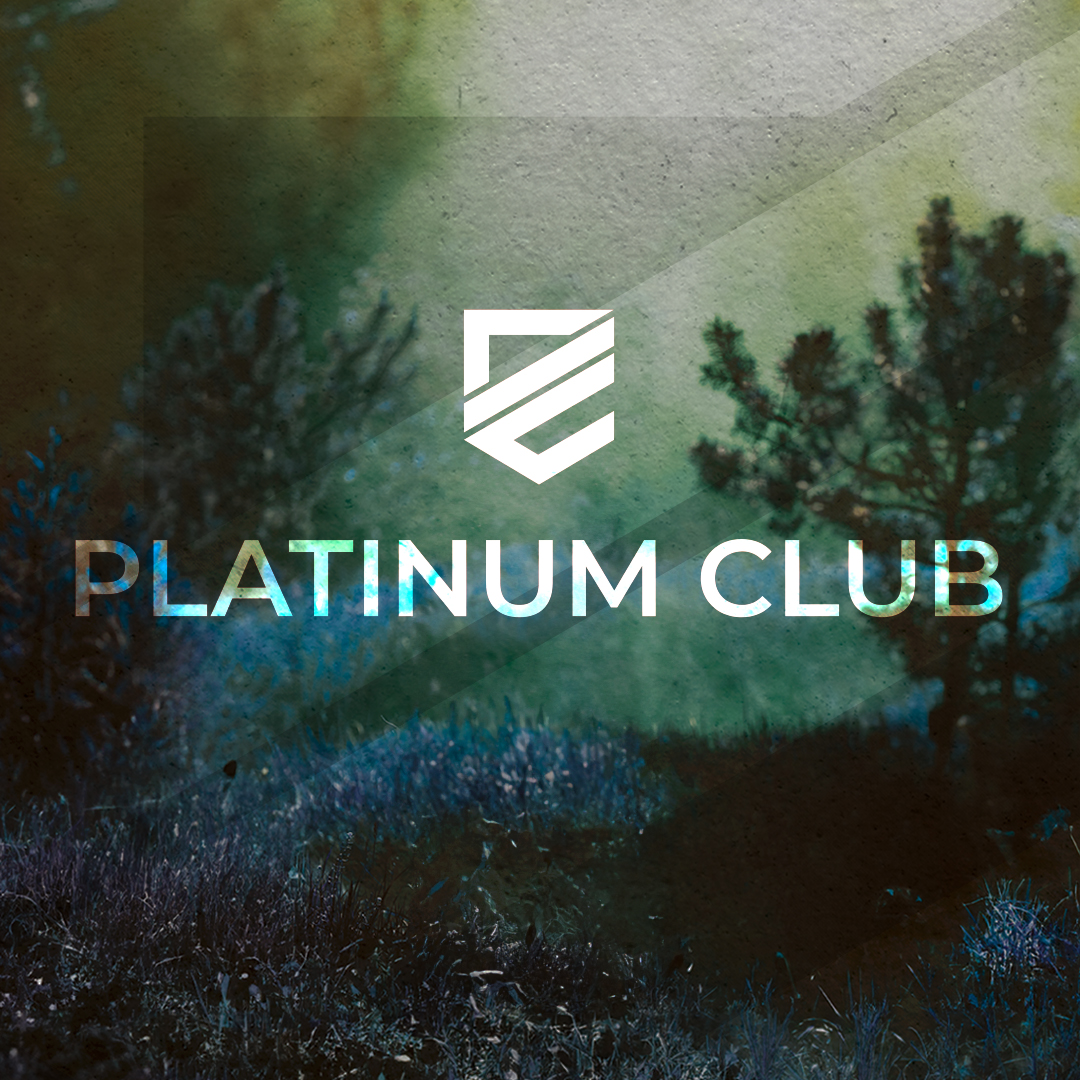 Dark Emergency 2025 - Platinum Club Ticket